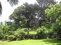 Sydney 006